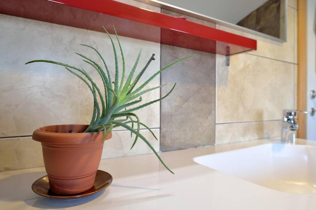 Comfortable Apartment Near Pula Marcana ภายนอก รูปภาพ